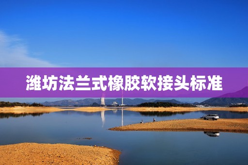濰坊法蘭式橡膠軟接頭標準